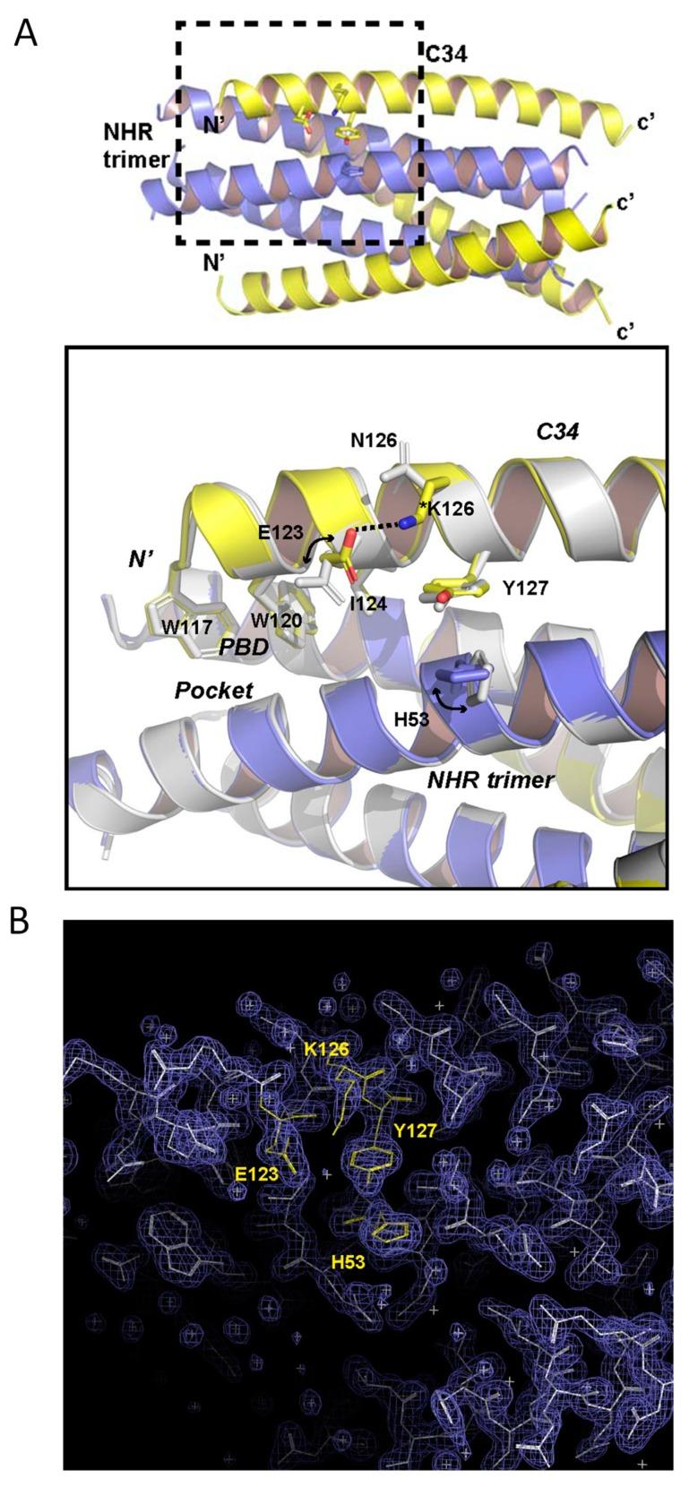 https://cdn.ncbi.nlm.nih.gov/pmc/blobs/0d00/7150849/39816fd9b320/viruses-12-00326-g009.jpg