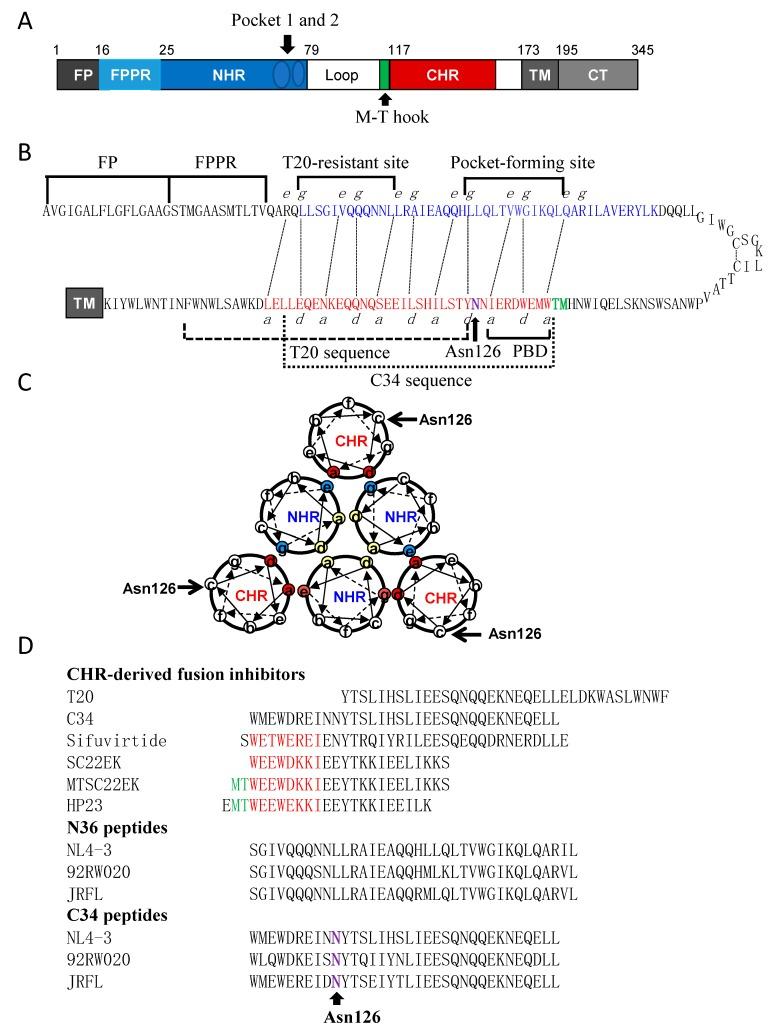 https://cdn.ncbi.nlm.nih.gov/pmc/blobs/0d00/7150849/e4971f4e7055/viruses-12-00326-g001.jpg
