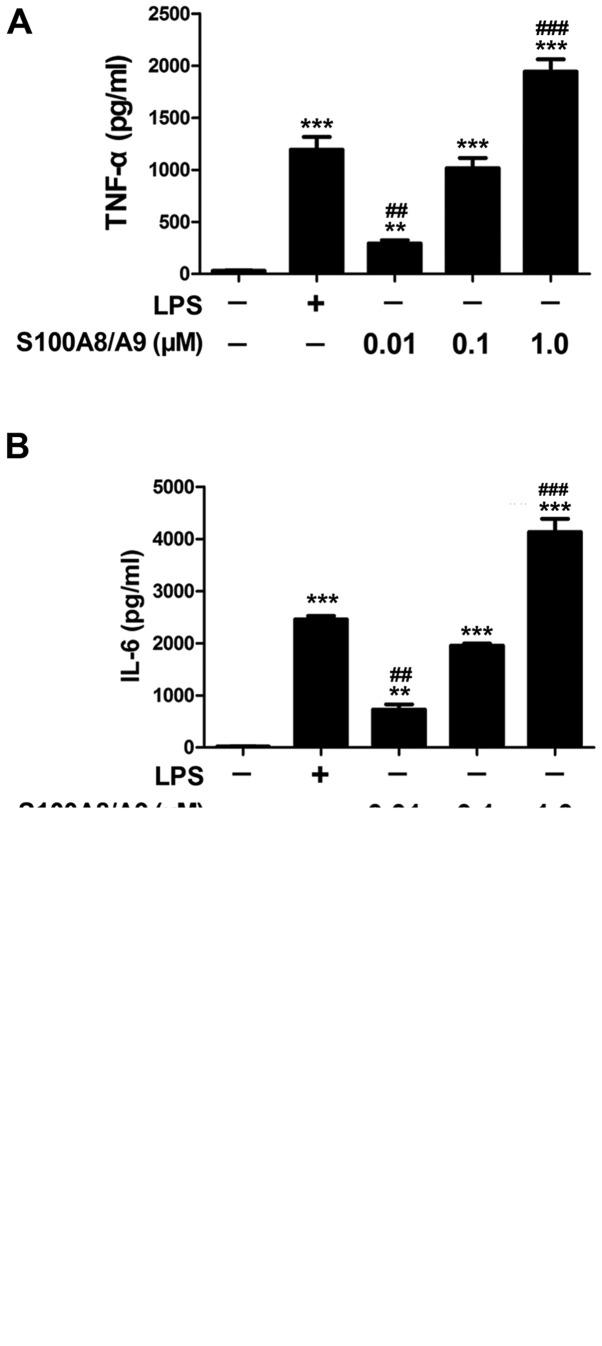 https://cdn.ncbi.nlm.nih.gov/pmc/blobs/0d01/5466387/fc4900aa87dd/IJMM-40-01-0031-g00.jpg