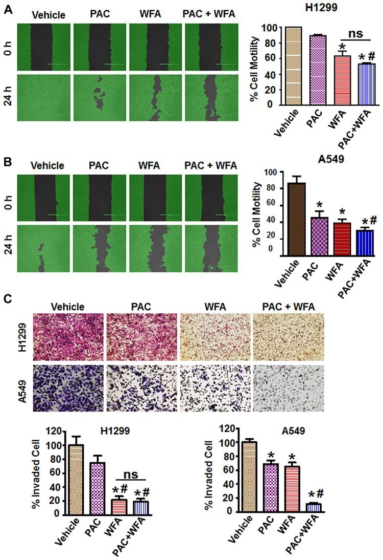 https://cdn.ncbi.nlm.nih.gov/pmc/blobs/0d01/7185067/6ec5a32d78ee/oncotarget-11-1399-g006.jpg