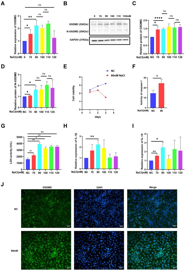 https://cdn.ncbi.nlm.nih.gov/pmc/blobs/0d05/9169976/d0fb69d32b7d/JIR-15-3269-g0001.jpg