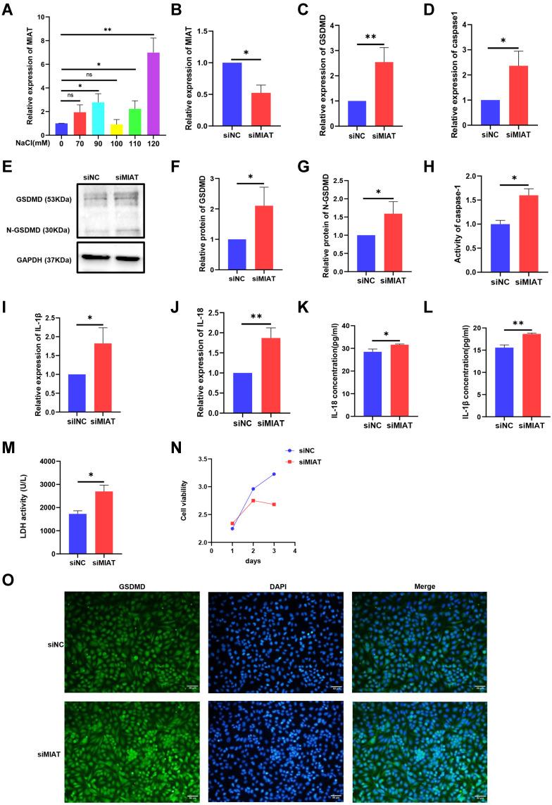 https://cdn.ncbi.nlm.nih.gov/pmc/blobs/0d05/9169976/f2e81a0364cb/JIR-15-3269-g0003.jpg