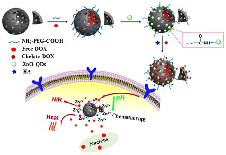 https://cdn.ncbi.nlm.nih.gov/pmc/blobs/0d07/10302411/30ce31cb0ecd/pharmaceutics-15-01713-g011.jpg