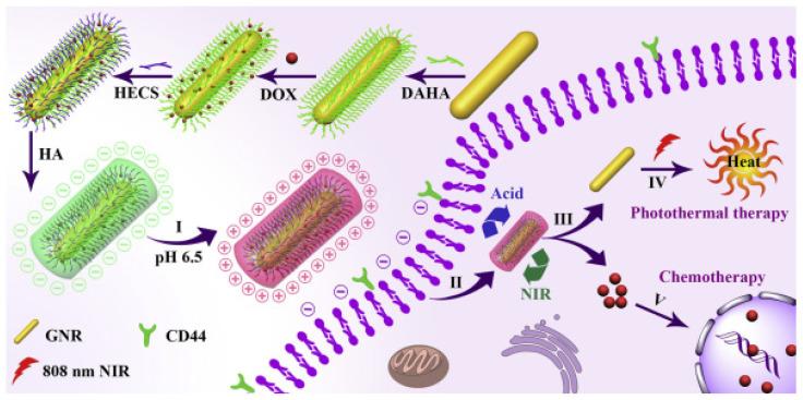 https://cdn.ncbi.nlm.nih.gov/pmc/blobs/0d07/10302411/6c874f0dd1ab/pharmaceutics-15-01713-g005.jpg