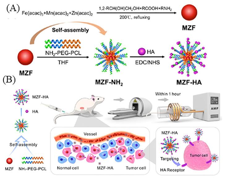 https://cdn.ncbi.nlm.nih.gov/pmc/blobs/0d07/10302411/77e8d7264554/pharmaceutics-15-01713-g012.jpg