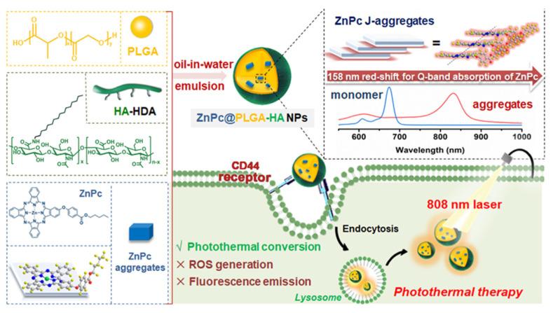 https://cdn.ncbi.nlm.nih.gov/pmc/blobs/0d07/10302411/d3a3da9bc671/pharmaceutics-15-01713-g013.jpg