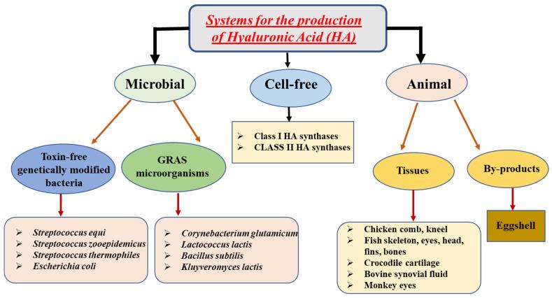 https://cdn.ncbi.nlm.nih.gov/pmc/blobs/0d07/10302411/e9c089fb9315/pharmaceutics-15-01713-g001.jpg