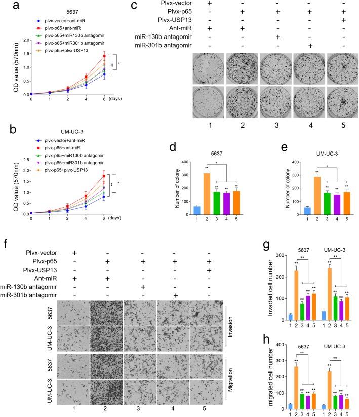 https://cdn.ncbi.nlm.nih.gov/pmc/blobs/0d08/6570860/4f06758c6c06/13046_2019_1262_Fig4_HTML.jpg