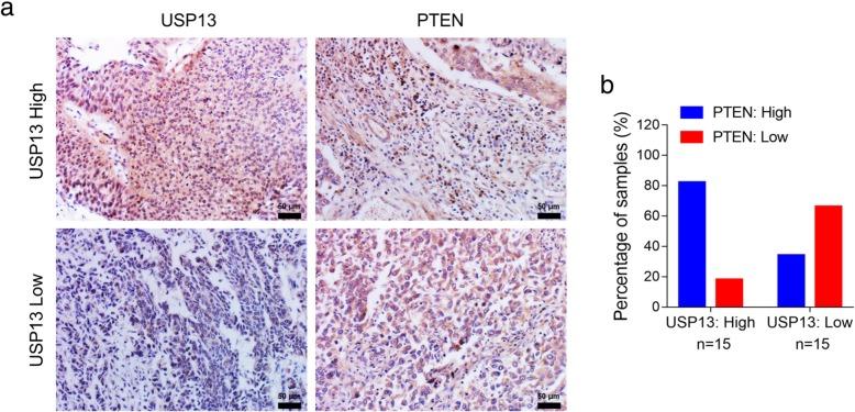 https://cdn.ncbi.nlm.nih.gov/pmc/blobs/0d08/6570860/819ec3ec7656/13046_2019_1262_Fig6_HTML.jpg