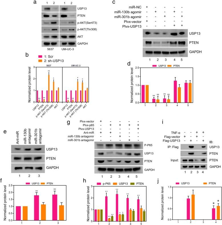 https://cdn.ncbi.nlm.nih.gov/pmc/blobs/0d08/6570860/d020a6492f88/13046_2019_1262_Fig3_HTML.jpg