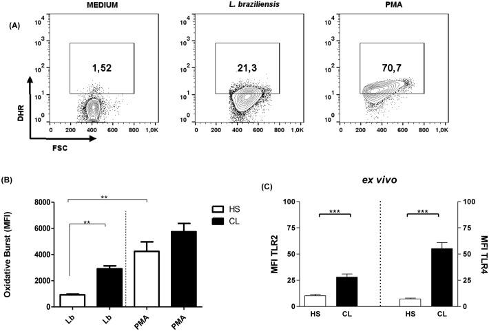 https://cdn.ncbi.nlm.nih.gov/pmc/blobs/0d0b/4739692/dc4b869da38b/pone.0148084.g001.jpg