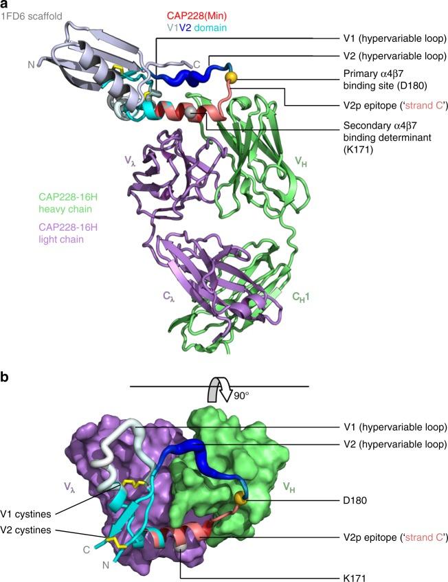 https://cdn.ncbi.nlm.nih.gov/pmc/blobs/0d0f/6203816/132695c02688/41467_2018_6794_Fig4_HTML.jpg