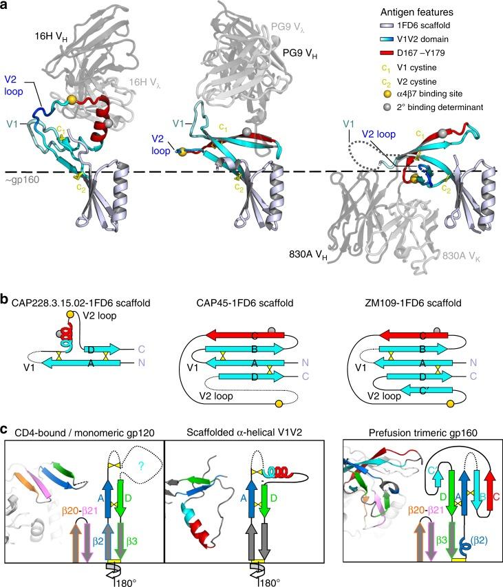 https://cdn.ncbi.nlm.nih.gov/pmc/blobs/0d0f/6203816/3959c7834ab4/41467_2018_6794_Fig5_HTML.jpg