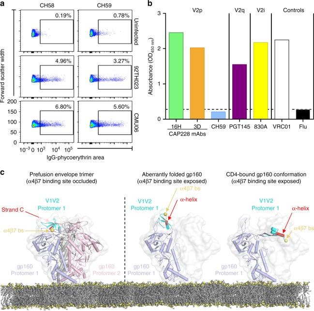 https://cdn.ncbi.nlm.nih.gov/pmc/blobs/0d0f/6203816/bd544260af56/41467_2018_6794_Fig6_HTML.jpg