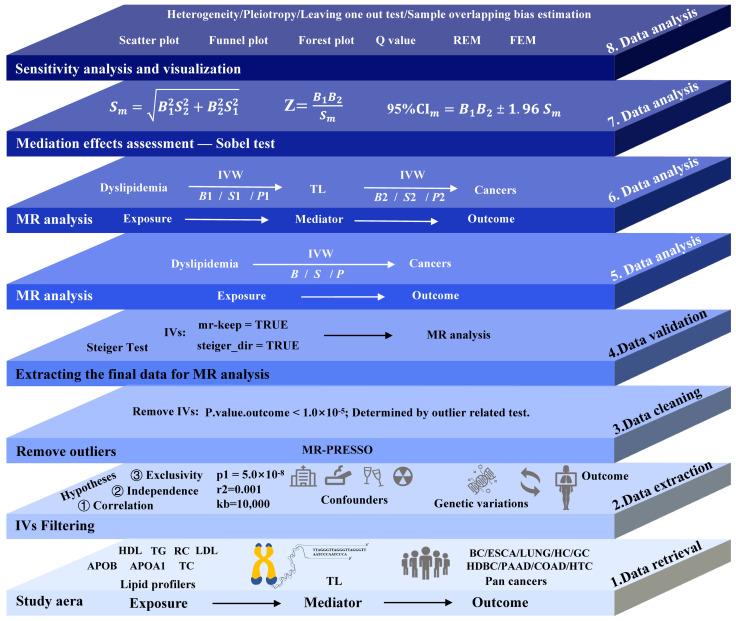https://cdn.ncbi.nlm.nih.gov/pmc/blobs/0d14/11760878/009d1a303128/biomedicines-13-00013-g001.jpg
