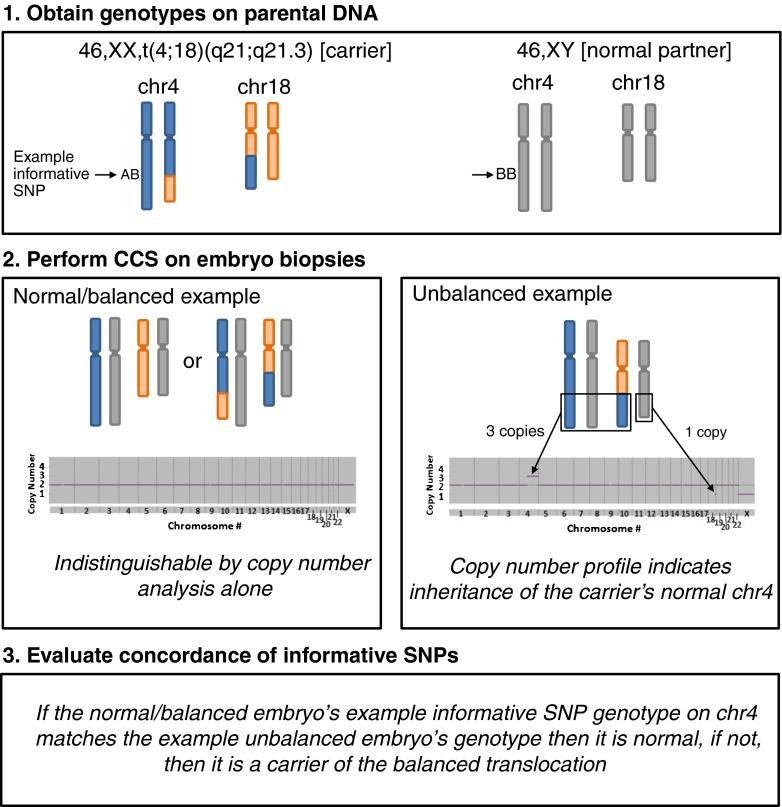 https://cdn.ncbi.nlm.nih.gov/pmc/blobs/0d15/4974228/b377b0047896/10815_2016_734_Fig1_HTML.jpg