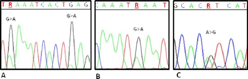 https://cdn.ncbi.nlm.nih.gov/pmc/blobs/0d15/6007957/50cb85ac00ba/oncotarget-09-27380-g001.jpg