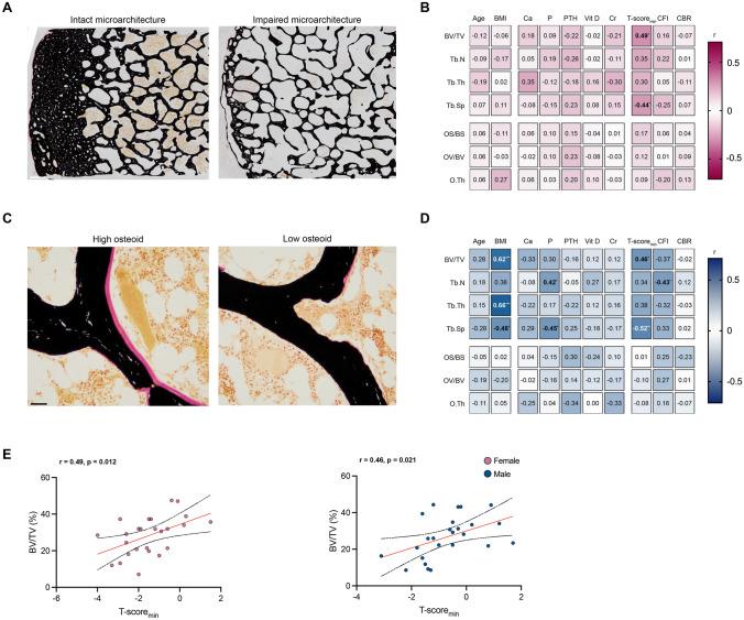 https://cdn.ncbi.nlm.nih.gov/pmc/blobs/0d18/11531446/5df1b5ff61a7/223_2024_1286_Fig2_HTML.jpg
