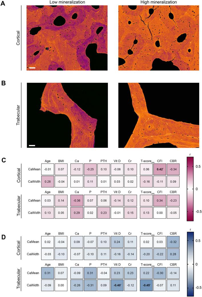 https://cdn.ncbi.nlm.nih.gov/pmc/blobs/0d18/11531446/7f75a19aa6af/223_2024_1286_Fig3_HTML.jpg