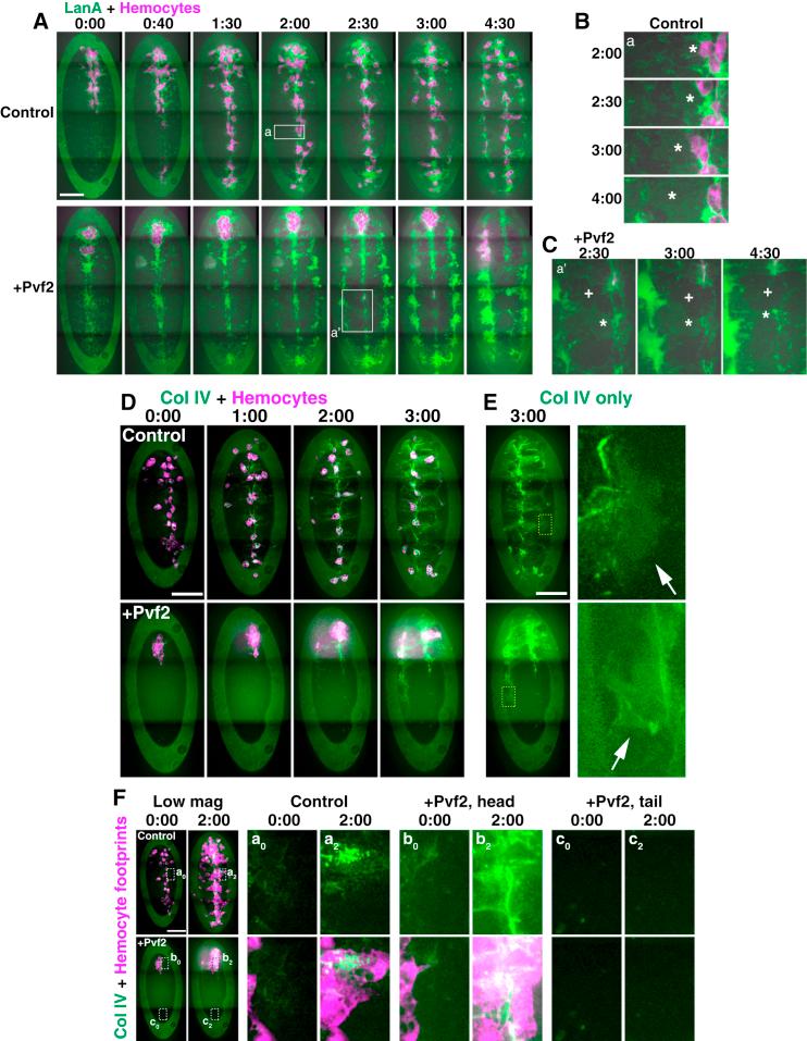 https://cdn.ncbi.nlm.nih.gov/pmc/blobs/0d19/5714436/4f82b05a119b/gr3.jpg