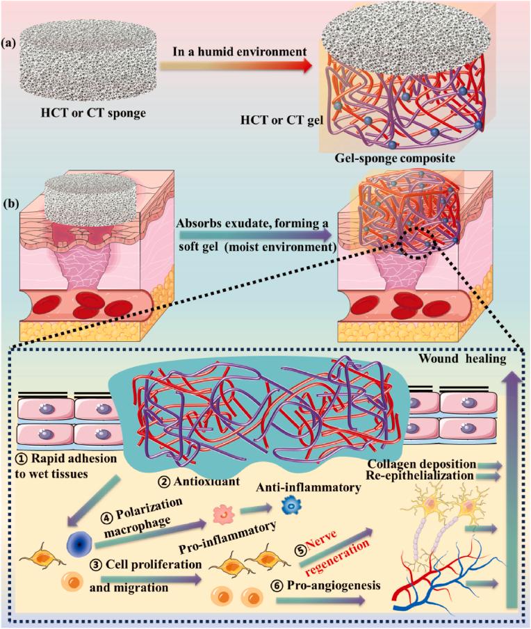 https://cdn.ncbi.nlm.nih.gov/pmc/blobs/0d1b/11629240/57a67dd05088/sc1.jpg
