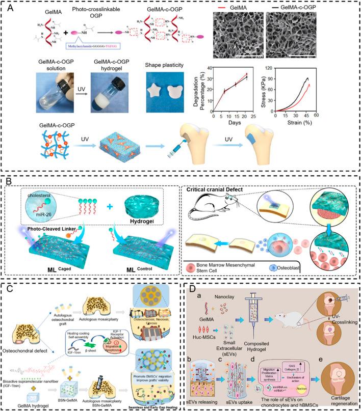 https://cdn.ncbi.nlm.nih.gov/pmc/blobs/0d1c/11165218/1b6ec1a776da/fbioe-12-1389733-g004.jpg