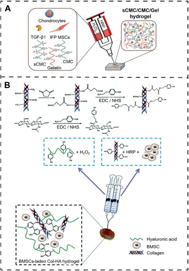 https://cdn.ncbi.nlm.nih.gov/pmc/blobs/0d1c/11165218/32732bb090d2/fbioe-12-1389733-g009.jpg