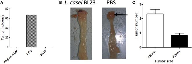 https://cdn.ncbi.nlm.nih.gov/pmc/blobs/0d1c/5702231/14ba9890fa25/fimmu-08-01553-g002.jpg