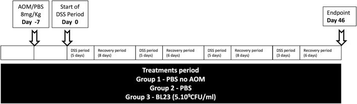 https://cdn.ncbi.nlm.nih.gov/pmc/blobs/0d1c/5702231/15d0ecdf3466/fimmu-08-01553-g001.jpg