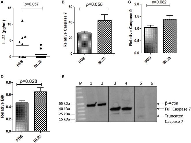 https://cdn.ncbi.nlm.nih.gov/pmc/blobs/0d1c/5702231/7eef2b25581e/fimmu-08-01553-g004.jpg