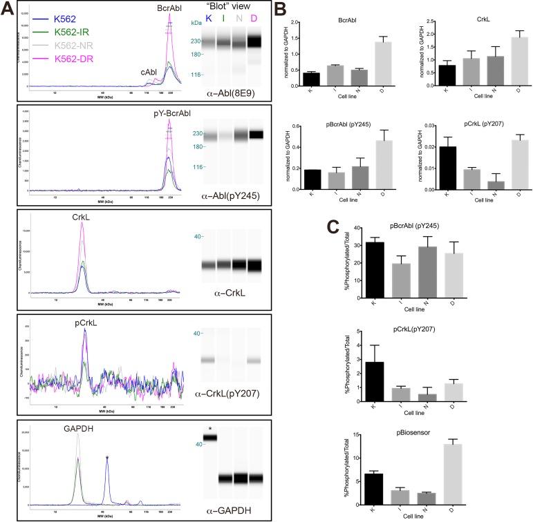 https://cdn.ncbi.nlm.nih.gov/pmc/blobs/0d1e/5012566/a4446c947bac/pone.0161748.g007.jpg