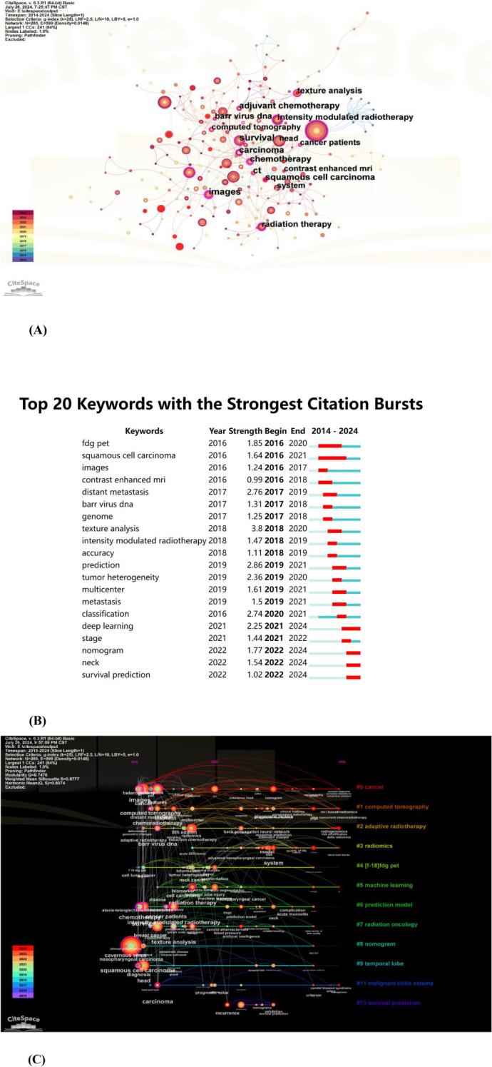 https://cdn.ncbi.nlm.nih.gov/pmc/blobs/0d1f/11975905/2138e687240f/fonc-15-1506778-g008.jpg
