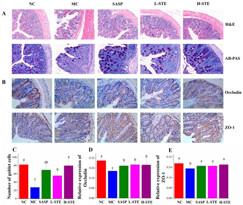 https://cdn.ncbi.nlm.nih.gov/pmc/blobs/0d1f/9183097/f13af85bd890/nutrients-14-02208-g004.jpg