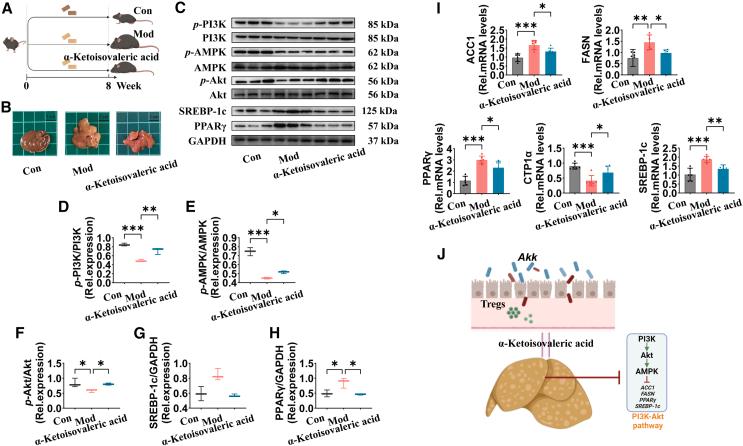 https://cdn.ncbi.nlm.nih.gov/pmc/blobs/0d25/12059670/8bce3df87b4c/gr9.jpg