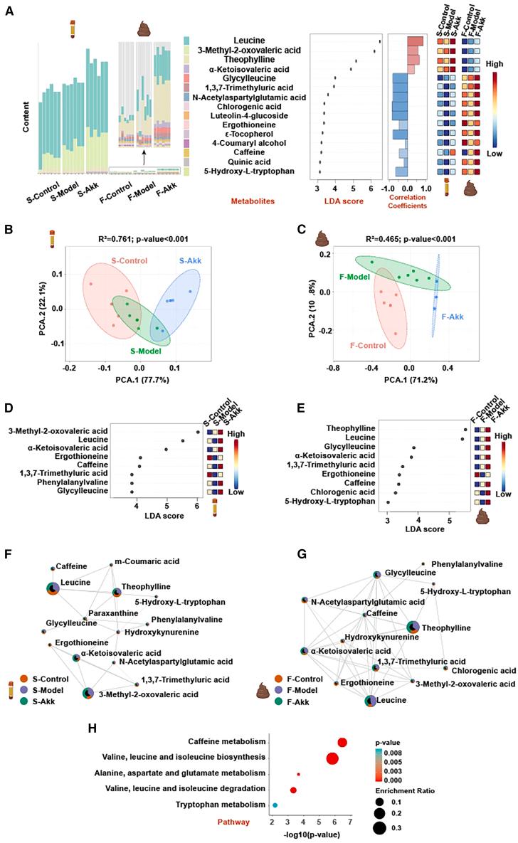 https://cdn.ncbi.nlm.nih.gov/pmc/blobs/0d25/12059670/95ca53f2e725/gr4.jpg