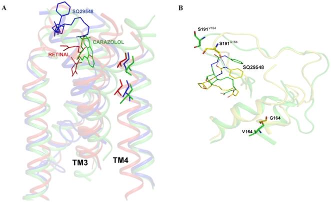 https://cdn.ncbi.nlm.nih.gov/pmc/blobs/0d25/3260207/51087d32fdd2/pone.0029996.g007.jpg
