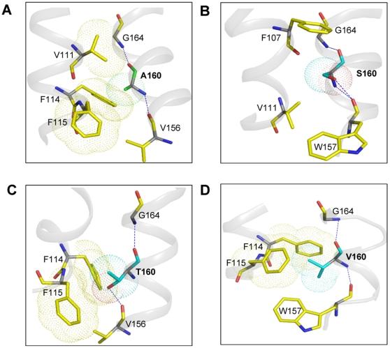 https://cdn.ncbi.nlm.nih.gov/pmc/blobs/0d25/3260207/921584753925/pone.0029996.g008.jpg