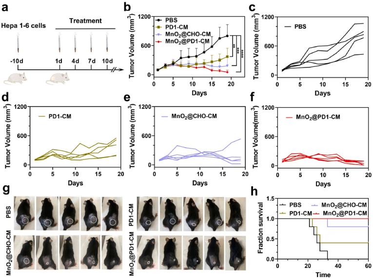 https://cdn.ncbi.nlm.nih.gov/pmc/blobs/0d25/9812708/2b3f9fceecb5/gr5.jpg