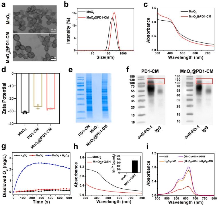 https://cdn.ncbi.nlm.nih.gov/pmc/blobs/0d25/9812708/7851d0f12834/gr3.jpg