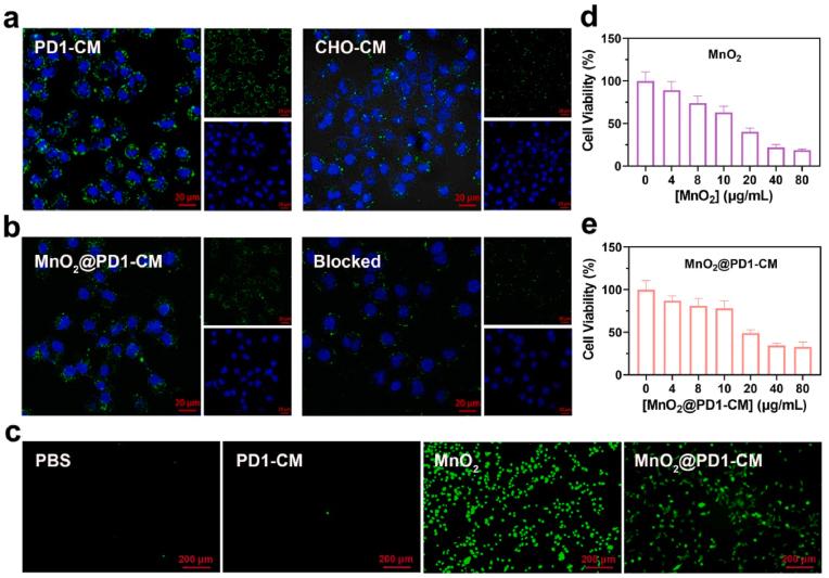 https://cdn.ncbi.nlm.nih.gov/pmc/blobs/0d25/9812708/c3e75e55618d/gr4.jpg