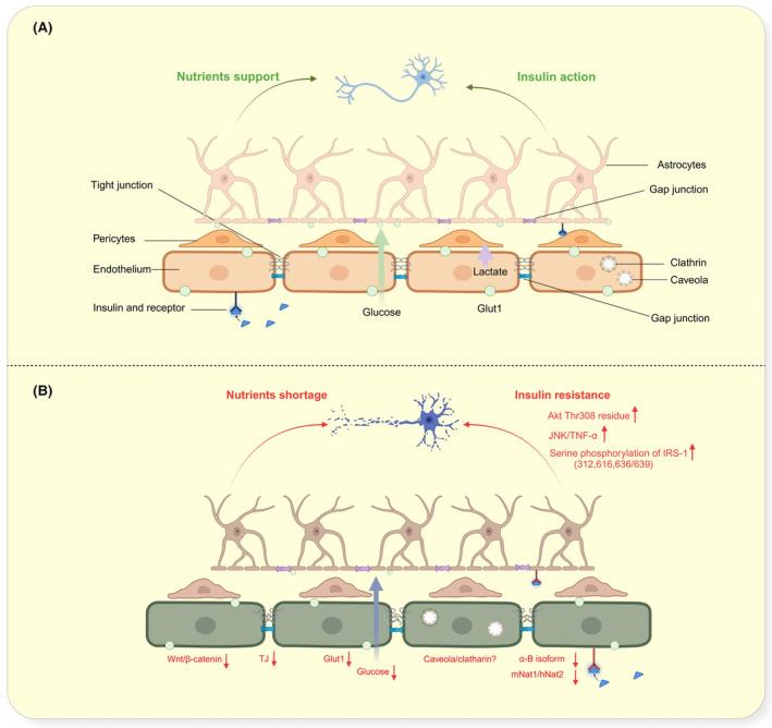 https://cdn.ncbi.nlm.nih.gov/pmc/blobs/0d26/11737474/2e27a82665ee/APHA-241-e14283-g003.jpg