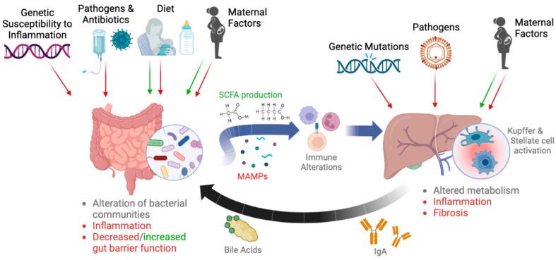 https://cdn.ncbi.nlm.nih.gov/pmc/blobs/0d27/10051507/a1b56888092b/microorganisms-11-00597-g001.jpg