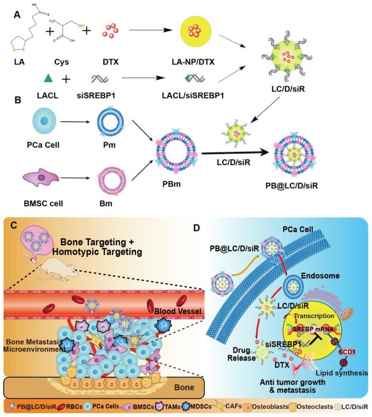 https://cdn.ncbi.nlm.nih.gov/pmc/blobs/0d27/6993241/2eab873820de/thnov10p1619g001.jpg