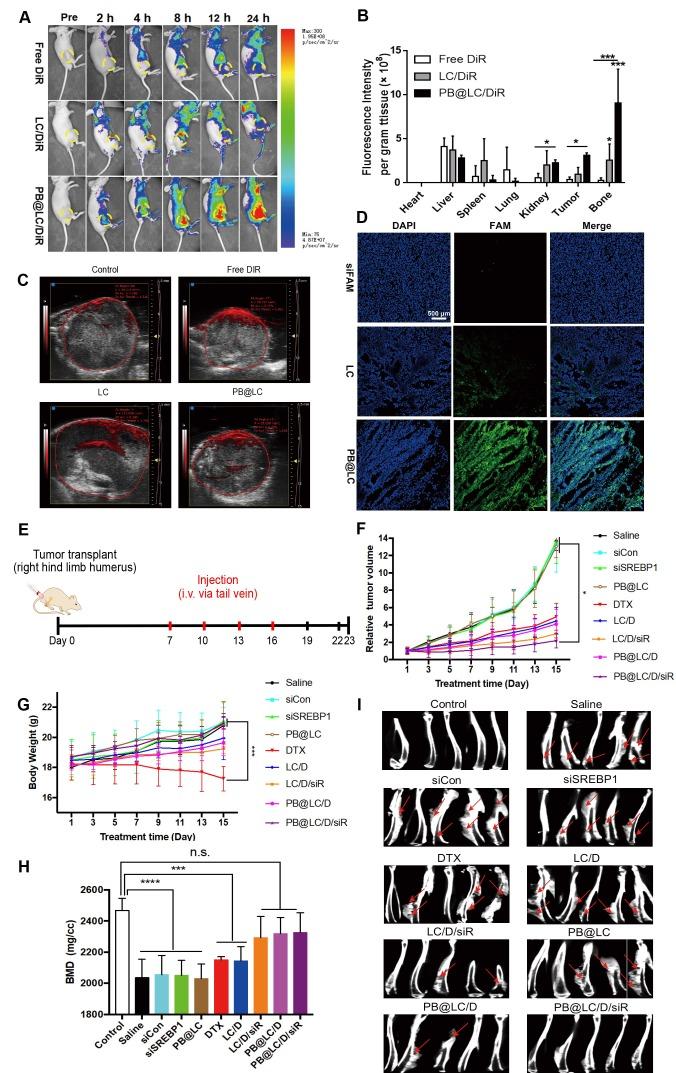 https://cdn.ncbi.nlm.nih.gov/pmc/blobs/0d27/6993241/3d85a63c88bd/thnov10p1619g007.jpg