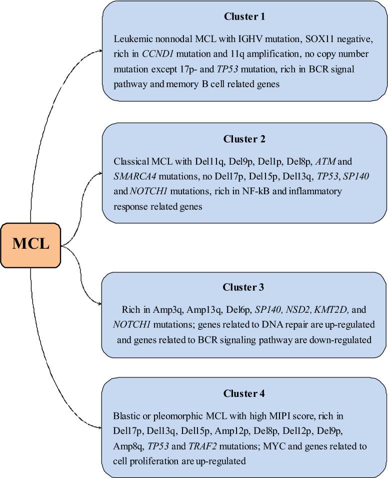 https://cdn.ncbi.nlm.nih.gov/pmc/blobs/0d28/8278675/2d6458b322ac/40164_2021_232_Fig1_HTML.jpg