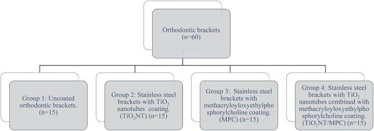 https://cdn.ncbi.nlm.nih.gov/pmc/blobs/0d29/11102386/144647e1844f/784_2024_5655_Fig1_HTML.jpg