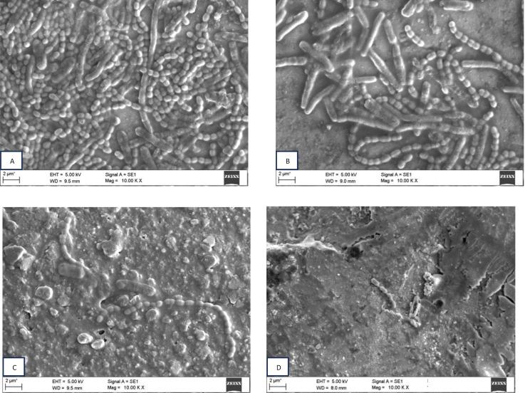 https://cdn.ncbi.nlm.nih.gov/pmc/blobs/0d29/11102386/9e5958b7246e/784_2024_5655_Fig6_HTML.jpg