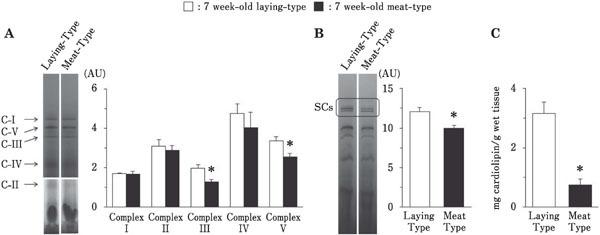 https://cdn.ncbi.nlm.nih.gov/pmc/blobs/0d2b/7596037/0ce7b42b9dcb/57_319_1.jpg