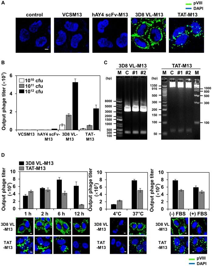 https://cdn.ncbi.nlm.nih.gov/pmc/blobs/0d2e/3522607/d81c493ddc41/pone.0051813.g002.jpg