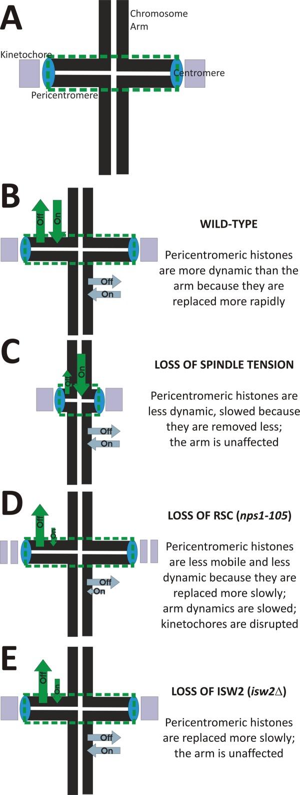 https://cdn.ncbi.nlm.nih.gov/pmc/blobs/0d2f/3386219/f46b15807304/2560fig6.jpg